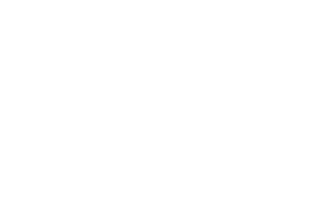 DUO
