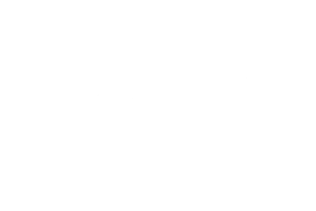 forcepoint